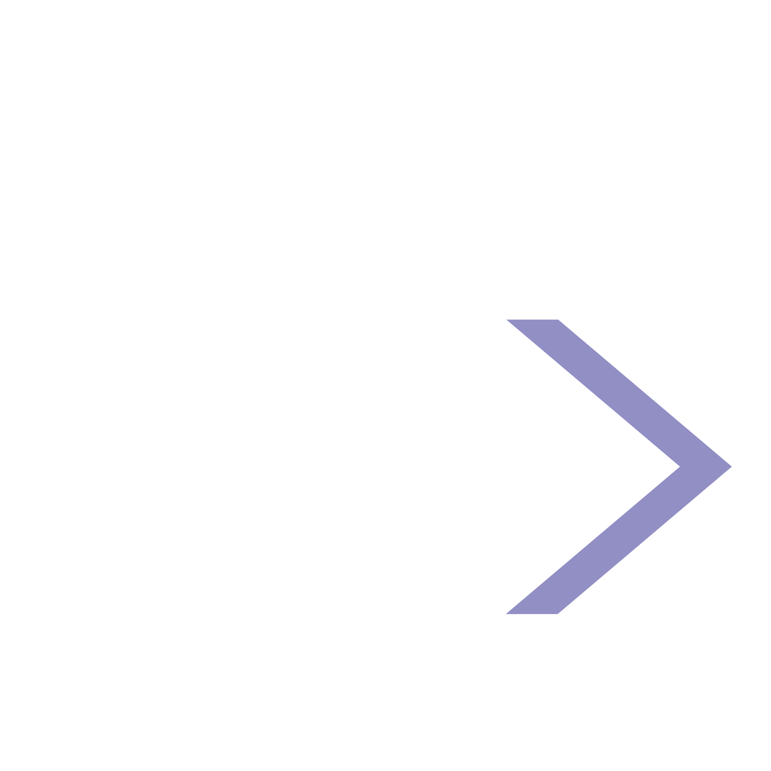 Mgr. Martin Kolajík